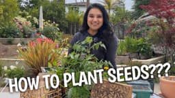 The ONLY Seed Starting Guide Beginners Need 🌱