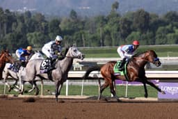 Horse Racing Picks Today at Santa Anita Park for Sunday, April 5 - VSiN