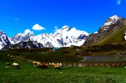 Community-based participatory approach for Bugyal ...