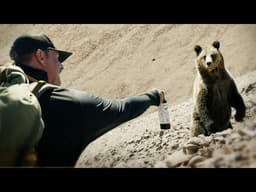 Face to Face With a Grizzly Bear!