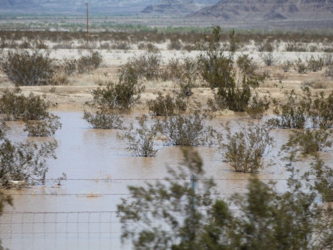 2015-16 Was A 'Dry' El Niño In Riverside County. This ...