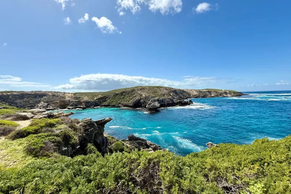 ISAF confirms 2025 fatal shark-attack spike