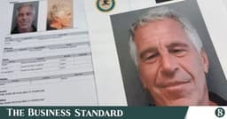 Mock Republican convention website links to Epstein Files