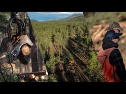 How Restoring Pine Forests Above Flagstaff Keeps the Water Running in Phoenix