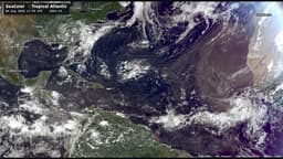 August 4, 2026 Tuesday Tropical Update
