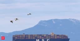 World’s largest container carrier plans route avoiding Hormuz - The Economic Times