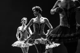 Review: Les Ballet des Trockadero at Theatre Royal Newcastle