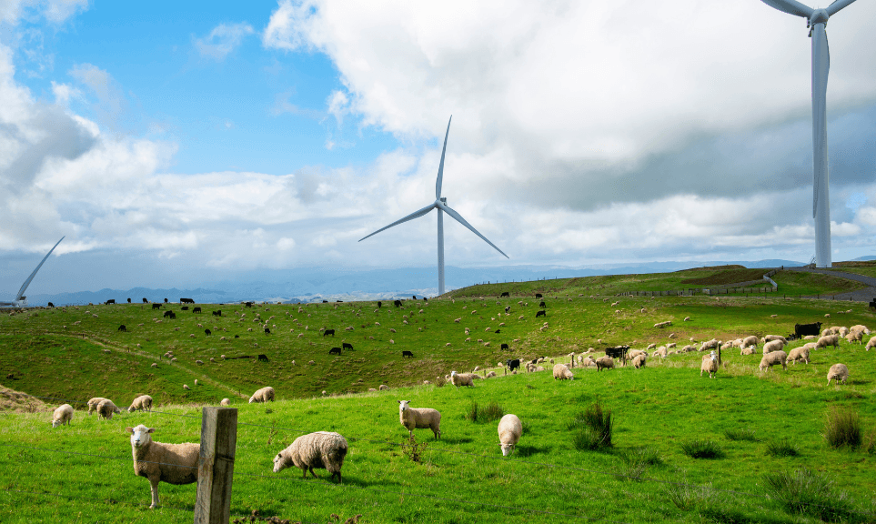 The Growing Challenge for New Zealand's Energy Transition
