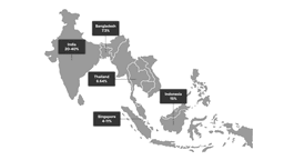 Evidence-Based Use of Undenatured Type II Collagen in the Management of Osteoarthritis in the Indian Subcontinent and Southeast Asia: A Narrative Review and an Expert Opinion