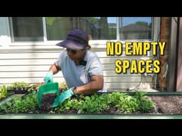 Never Leave Empty Garden Space! 🌱 Succession Planting for More Food