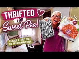 I Went Thrifting for Sweet Pea's Makeover… Look What I Found