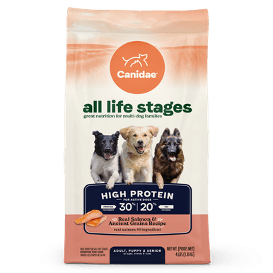 All Life Stages High Protein Dry Dog Food, Salmon & Ancient Grains ...
