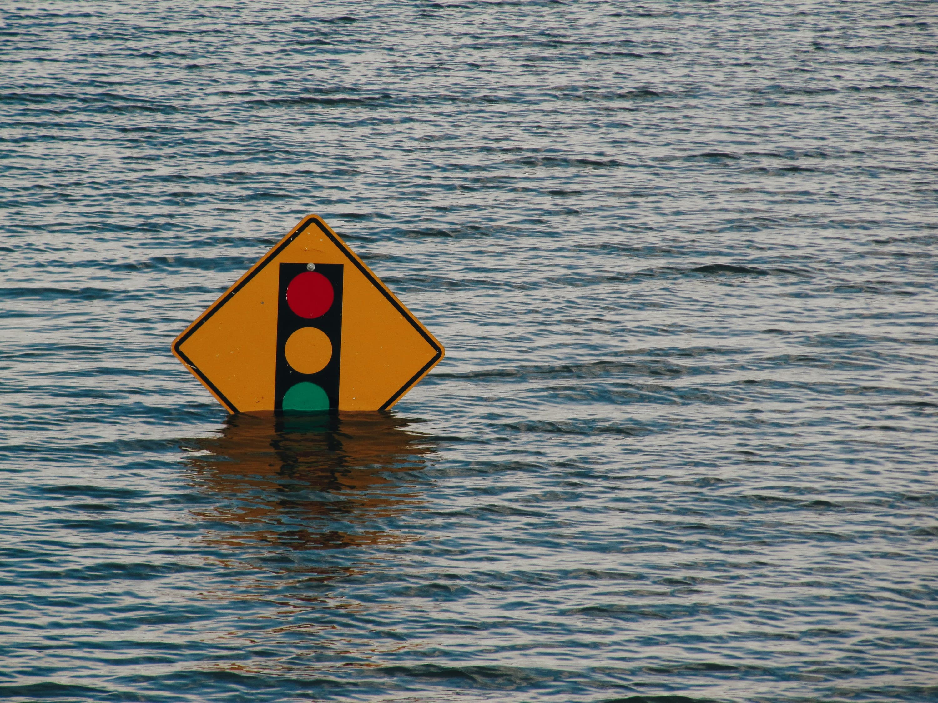 To Survive Natural Disasters, We Must Protect Democracy