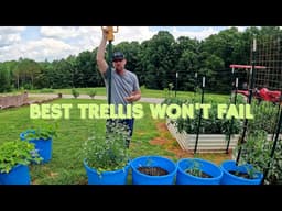 The Best DIY Tomato Trellis? Built With Conduit, T-Posts & PVC