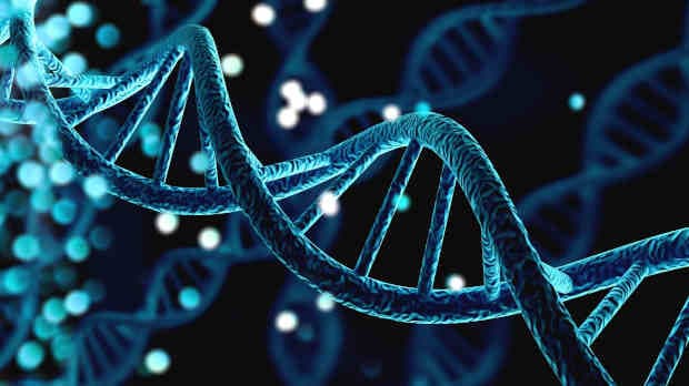 Nvidia's new DNA model learns what token prediction misses