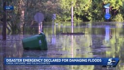 Gov. Kevin Stitt issues disaster emergency declaration after ...