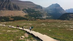 Glacier's First Fatal Bear Attack in Almost 30 Years Came After ...