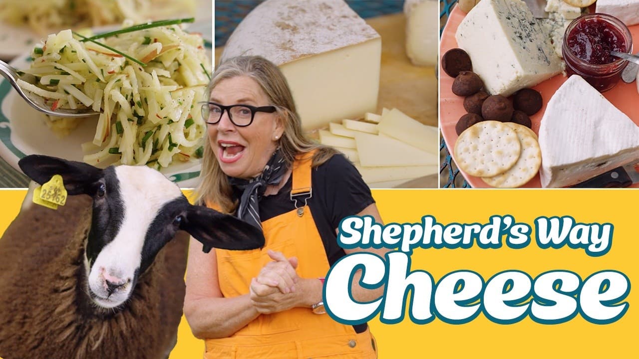 Taste Buds: Artisan Sheep Cheese at Shepherd’s Way Farms