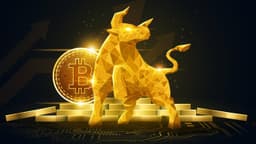 Bull Market in Sight: Bitwise Sees Bottom Forming Ahead ...