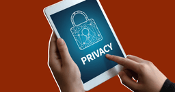 AI Privacy Risks: What Legal Teams Need to Know Before ...