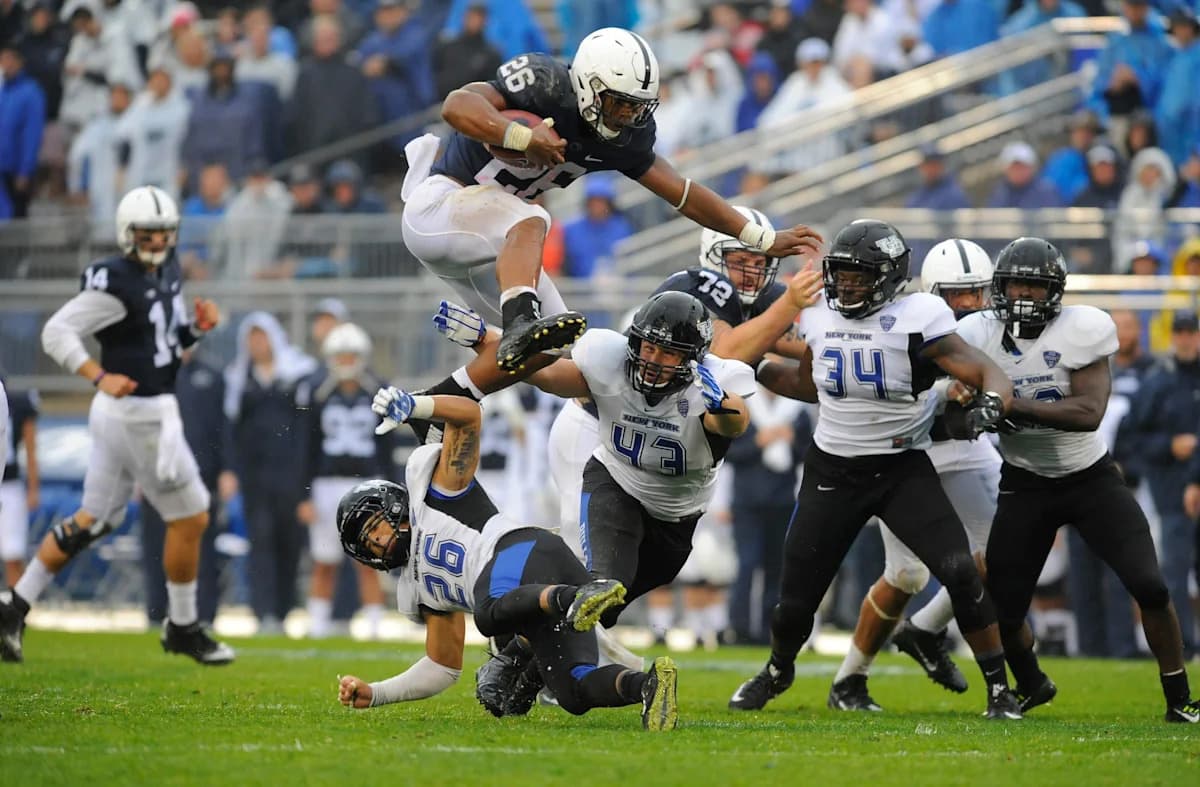Lion Tales: Buffalo - Yahoo Sports