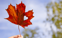 Canada's global reputation is through the roof. Can it stay ...