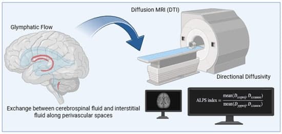 Diffusion Tensor Imaging Along the Perivascular Space ...