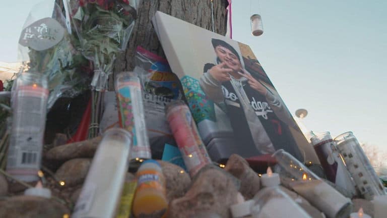 Aurora police seek neighborhood help in finding teen's killer