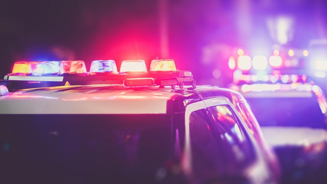 Citrus County father arrested after pulling gun on school bus driver: CCSO