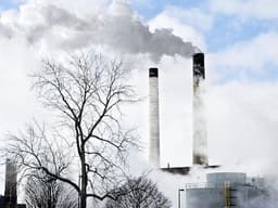 It Wasn't the Carbon Tax After All - by Alex Cool-Fergus