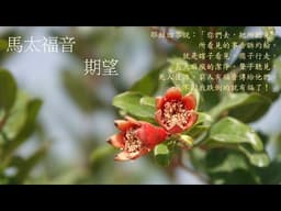 靈修:馬太福音-期望 20260401