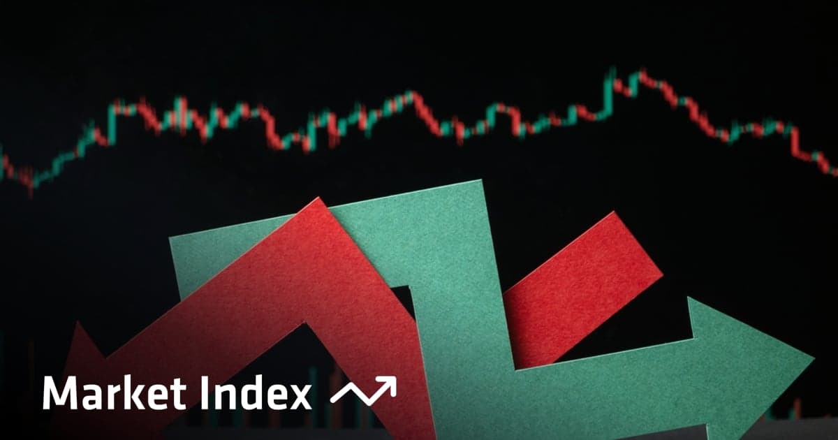 TechnologyOne is the lone bright spot in a brutal year for ASX tech