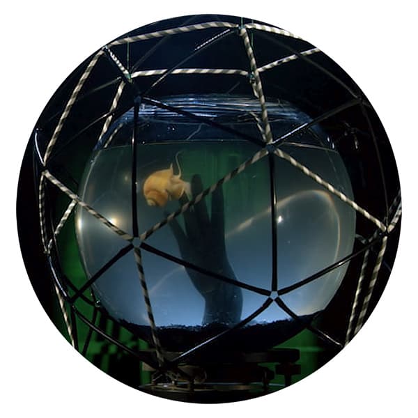 Summer 2026 Exhibitions at The Robert McLaughlin Gallery