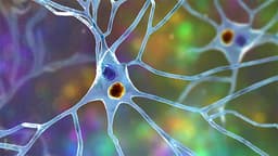 Why Lewy pathology must be a critical consideration in the Design of Clinical Trials for Neurodegenerative Diseases: Dr. Jon B. Toledo explains