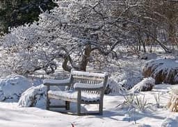 Starting Seeds with Winter Sowing, October 10