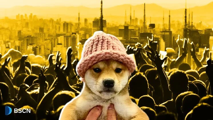 How Did Dogwifhat (WIF) Rise to Billions, and Can It Get ...