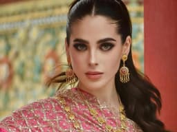 Miss Universe Controversy Over Insult