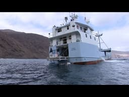 SHARKIVES Ep. 9 | WE LOST HIM: What Happens When a Shark Gets Away