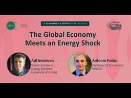 The Global Economy Meets an Energy Shock