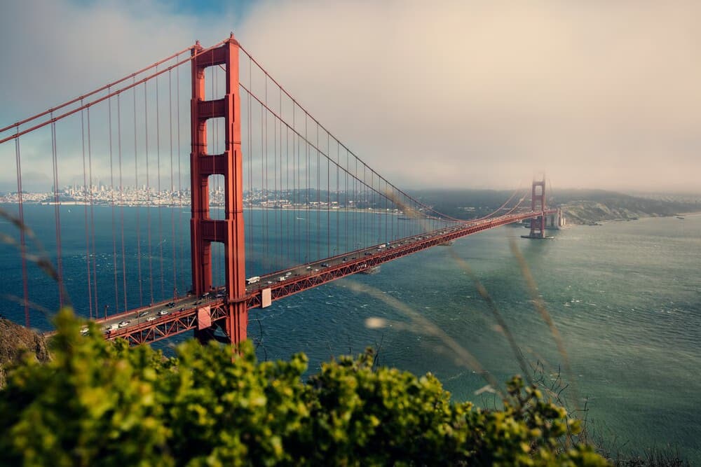 4 San Francisco Cafés to Visit This Summer