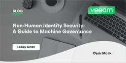 Non-Human Identity Security: Guide to Machine Governance