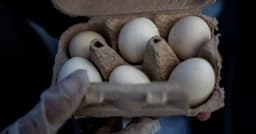 Why Were 1.6 Million Dozen Eggs Recalled in the U.S.?