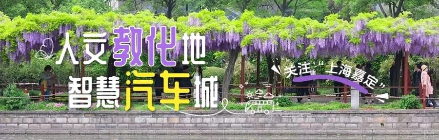 花海、花神巡游、市集……2026嘉定紫藤季开幕_上观新闻