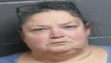South Georgia school bus driver charged in sex trafficking ...