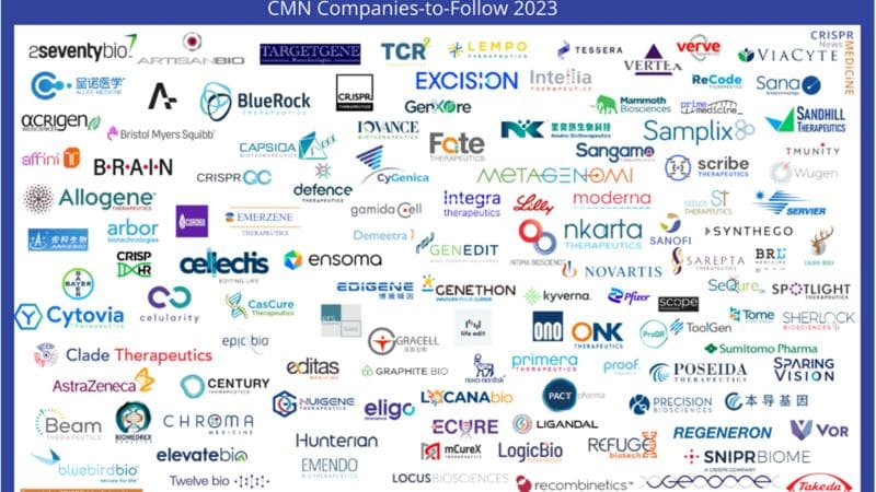 Company: Beam Therapeutics