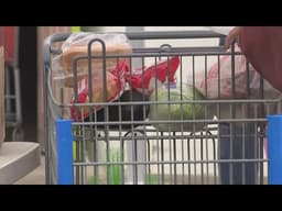 CalFresh rule changes remove food benefits for many immigrants