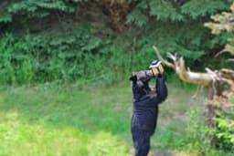 Georgia homeowner warns neighbors after camera catches black bear raiding bird feeder