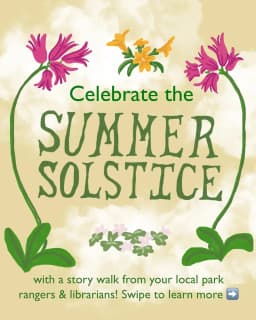 Summer Solstice Story Walk, San Francisco