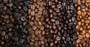 The Four Different Types of Coffee Beans: A Complete Guide