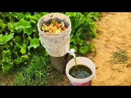 I Built a Secret Fertilizer Factory in 5-Gallon Pail (& the Results Shocked My Entire Neighborhood)